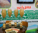 افتتاح نمایشگاه کار؛ پیش به سوی آینده