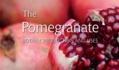 ‏چاپ کتاب ‏The Pomegranate, Production and Uses
